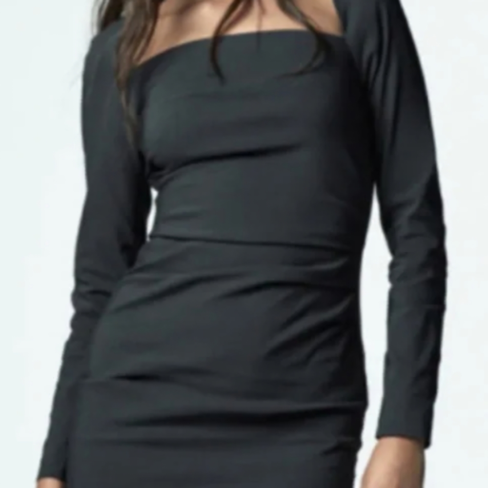 Zara Chic Gray Long Sleeve Dress